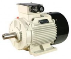 16 Induction Motor